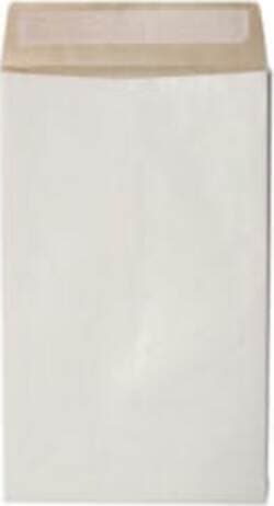 Sacchetto Secursac - antistrappo - C4 - 23 x 33 x 4 cm - 130 gr - bianco - Blasetti - conf. 100 pezzi Commercio Industria e Scienza/Forniture per imballaggio e spedizione/Scatole buste e tubi per spedizione/Buste per spedizione/Buste imbottite Eurocartuccia - Pavullo, Commerciovirtuoso.it