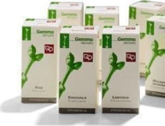 SANGUINELLO-Macerato-Glicerinato-Gemme-100-ml-Fitomedical