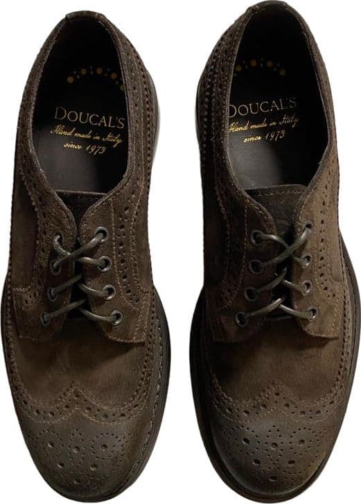 Scarpa uomo Doucal's - Derby Stringate Brogue Scamosciate Colore Testa di moro in Scarpe stringate basse Couture - Sestu, commercioVirtuoso.it