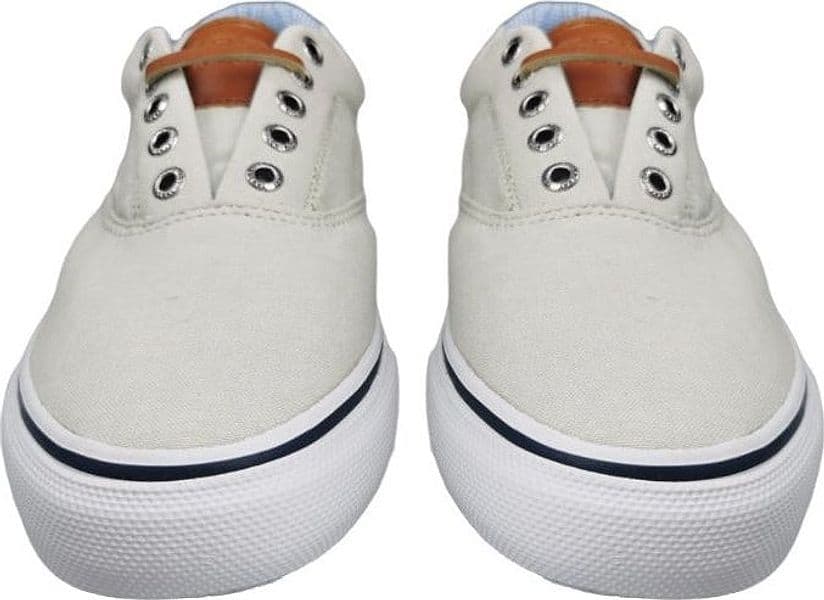 Scarpa uomo Sneakers Sperry - Striper CVO Chamb green in Sneaker casual Couture - Sestu, commercioVirtuoso.it