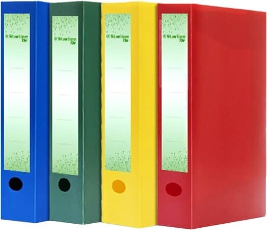 Scatola progetto Eco - 25 x 35 cm - dorso 40 mm - verde - Starline Cancelleria e prodotti per ufficio/Archivio ufficio e accessori per scrivania/Archivio ufficio/Classificatori/Scatole Eurocartuccia - Pavullo, Commerciovirtuoso.it