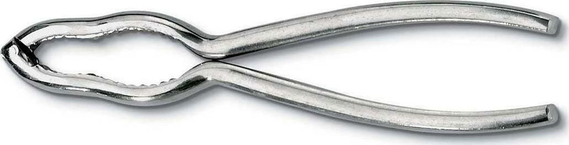 Schiaccianoci Rompinoci In Acciaio Inox Ausonia - 71310 in Schiaccianoci Ausonia - Maniago, commercioVirtuoso.it
