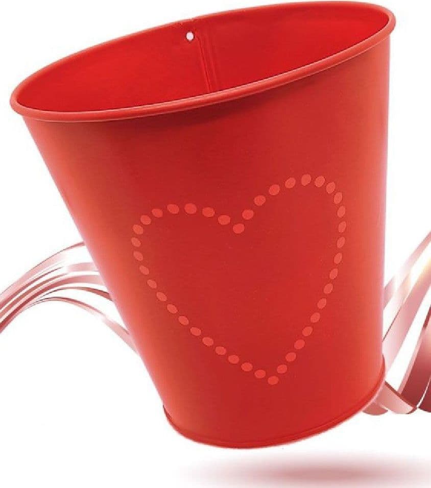 Secchiello Rosso Decorativo Latta 14cm Con Cuore Idea Regalo San Valentino 92300 Giardino e giardinaggio/Attrezzi da giardino e attrezzature per l'irrigazione/Vasi e accessori per piante/Vasi tradizionali Trade Shop italia - Napoli, Commerciovirtuoso.it