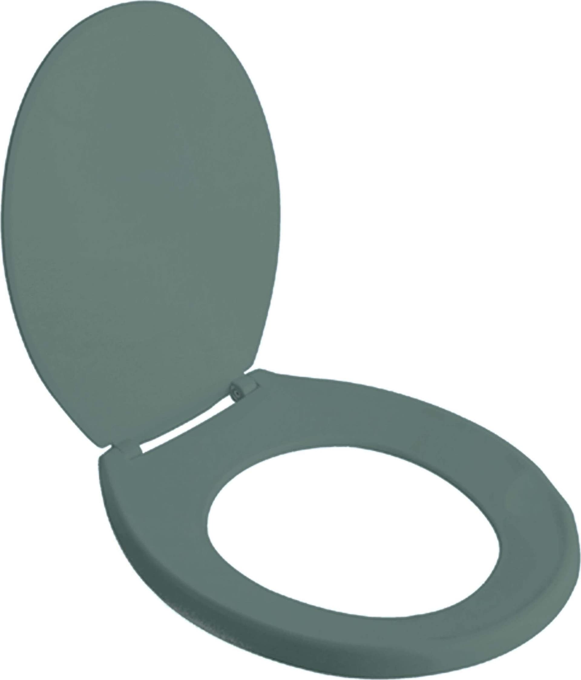 Sedile Wc Universale Tavoletta Universale Gabinetto Grigia Thermoplast Serie 5-o-1 Grigio Con Chiusura Rallentata. Arca Concept in Sedili WC Arca Concept - Brescia, commercioVirtuoso.it