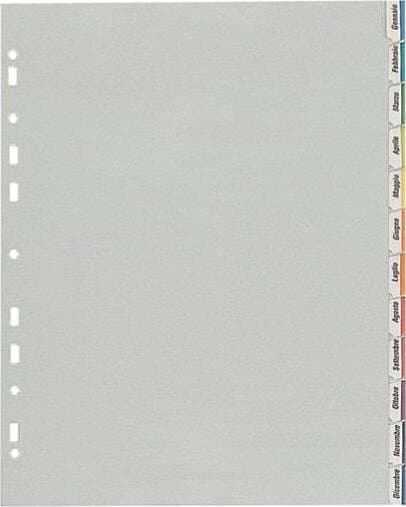 Separatore - 12 tacche personalizzabili - PP - 22x30 cm - grigio - Favorit Cancelleria e prodotti per ufficio/Archivio ufficio e accessori per scrivania/Archivio ufficio/Cartelle sospese e accessori/Indici per cartelle sospese Eurocartuccia - Pavullo, Commerciovirtuoso.it