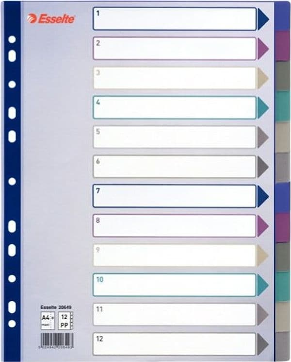 Separatore - 12 tasti - PP traslucido - A4 maxi - 24 5x29 7 cm - multicolore - Esselte Cancelleria e prodotti per ufficio/Archivio ufficio e accessori per scrivania/Archivio ufficio/Cartelle sospese e accessori/Indici per cartelle sospese Eurocartuccia - Pavullo, Commerciovirtuoso.it