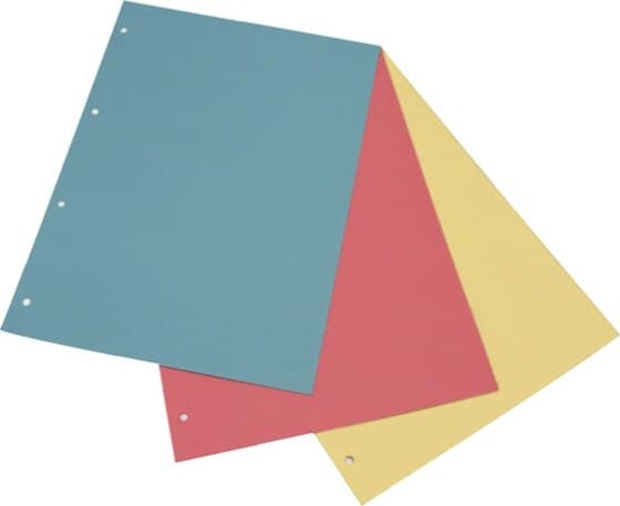 Separatori - cartoncino Manilla 200 gr - 22 x 30 cm - rosso - Cartotecnica del Garda - conf. 200 pezzi Cancelleria e prodotti per ufficio/Archivio ufficio e accessori per scrivania/Archivio ufficio/Cartelle sospese e accessori/Indici per cartelle sospese Eurocartuccia - Pavullo, Commerciovirtuoso.it