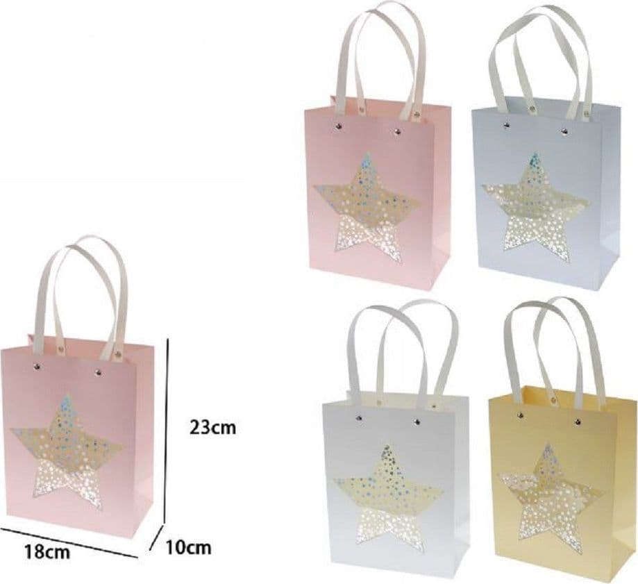Set 2 Pz Buste Borsa Da Regalo Con Stella 23 X 18 X 10cm 69938 Varie Colorazioni Casa, arredamento e bricolage > Prodotti per Feste Trade Shop italia - Napoli, Commerciovirtuoso.it