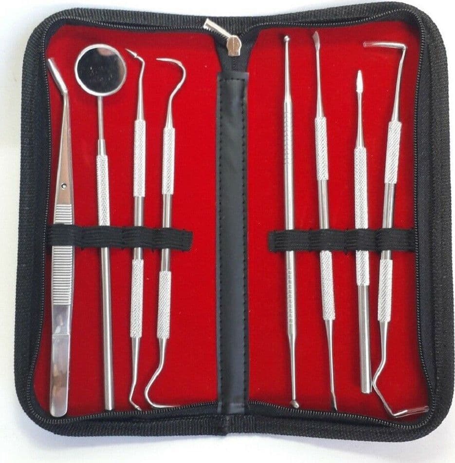 Set 8 Strumenti Pulizia Dentale Cura Dente Dentista Sonda Specchietto Pinzetta Salute e Bellezza > Cura dei denti Trade Shop italia - Napoli, Commerciovirtuoso.it