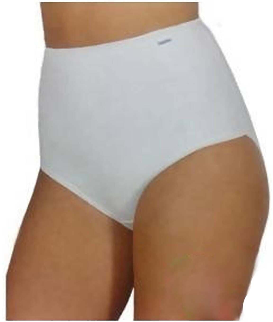 Snellita culotte donna vita alta art. 2002 (6 paia) in Bikini e Slip ADAMO INTIMO e CASA - Bagheria, commercioVirtuoso.it