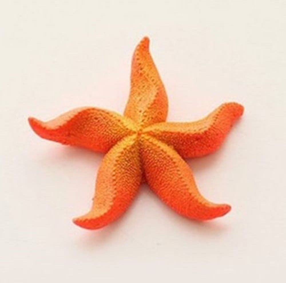 Stella Marina Artificiale In Resina Per Decorazioni Acquario Corallo Finto 7x7cm Prodotti per animali domestici/Pesci e animali d'acqua/Arredo per acquario/Oggetti Trade Shop italia - Napoli, Commerciovirtuoso.it