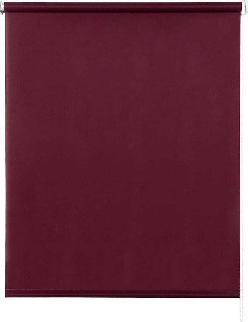STOR-PLANET---TENDA-ROLL-UP-VIOLA-TRASLUCENTE-RE-13UV-100X180CM