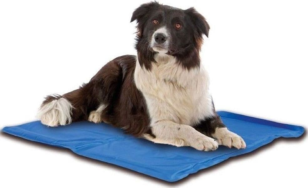 TAPPETO TAPPETINO REFRIGERANTE 50x40CM RAFFREDDANTE CUSCINO PER CANE ANIMALI