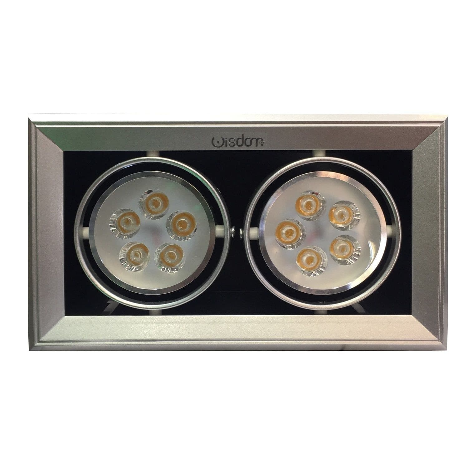 FARETTO LED AD INCASSO WISDOM PER AMBIENTI COMMERCIALI DA 2x5W ORIENTABILI Illuminazione/Illuminazione per interni/Faretti/Faretti da soffitto Trade Shop italia - Napoli, Commerciovirtuoso.it