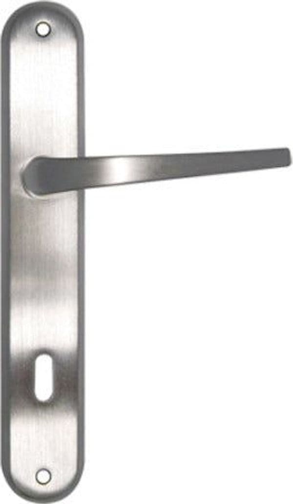 THEMA---MANIGLIA-CON-PLACCA-SERIE-CIGNO-CROMO-SATINATO-FORO-PATENT