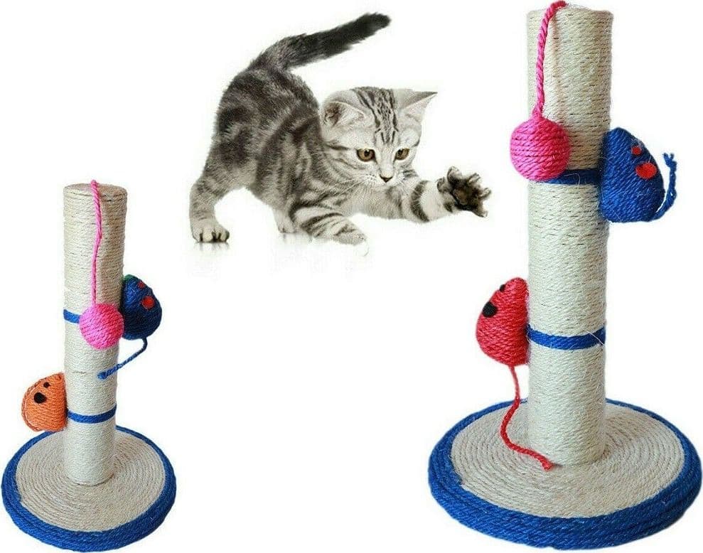 Tiragraffi Gioco Corda Colonna Pallina Artigli Gatto Tira Graffi 42x24cm. Mod B Prodotti per animali > Prodotti per Gatti > Tiragraffi Trade Shop italia - Napoli, Commerciovirtuoso.it