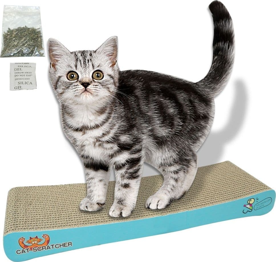 TIRAGRAFFI IN CARTA CARTONE GATTA PER UNGHIE GATTO GIOCO TIRA GRAFFI 50 X 22 CM Prodotti per animali domestici/Gatti/Lettini accessori per il letto e mobili/Colonne tiragraffi Trade Shop italia - Napoli, Commerciovirtuoso.it