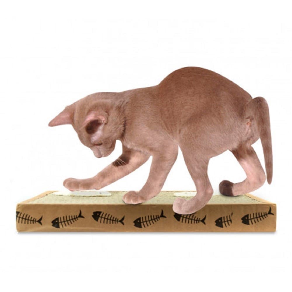 Tiragraffi Nobleza Per Gatti Cartone Profumato 38.2 X 23 X 4 Cm Fishing Box Prodotti per animali > Prodotti per Gatti > Tiragraffi Trade Shop italia - Napoli, Commerciovirtuoso.it