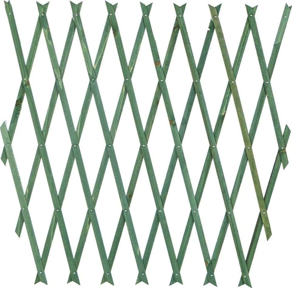 Traliccio Rete Estensibile In Legno Verde Per Parete Da Giardino Piante 180x30cm Arredo giardino Trade Shop italia - Napoli, Commerciovirtuoso.it
