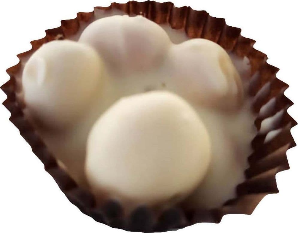 Tre Nocciole Pralina Artigianale Con Nocciole Tostate Intere Cioccolatini fatti a mano con Nocciola Siciliana Intera 300gr Laboratorio Cafè Plaza in Cioccolatini in confezione regalo Plaza cafè - Capo d’Orlando, commercioVirtuoso.it