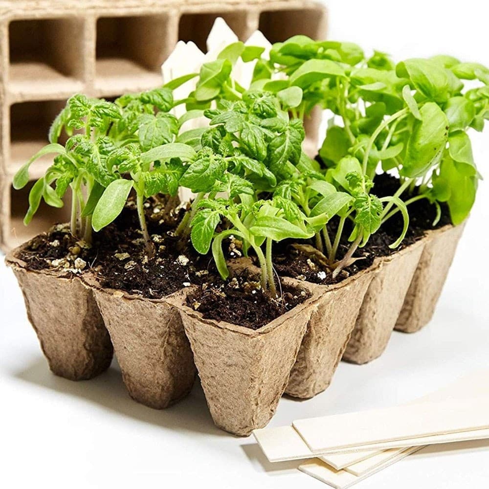 Vasi Vasetti Biodegradabili Per Piantine Piante Fiori Semenzaio 4pz 11.5x16x5.5 Giardino e giardinaggio/Attrezzi da giardino e attrezzature per l'irrigazione/Vasi e accessori per piante/Vasi tradizionali Trade Shop italia - Napoli, Commerciovirtuoso.it