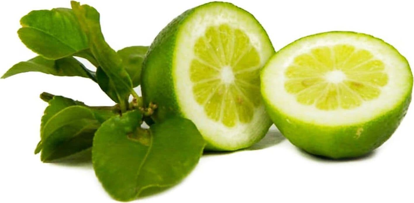 Verdello di Sicilia Limoni Verdi Siciliani con Buccia Edibile Senza Semi non Cerati 5kg Il Melograno Peloritano in Limoni Az. Agricola ’’Il Melograno Peloritano’’ - Monforte San Giorgio, commercioVirtuoso.it