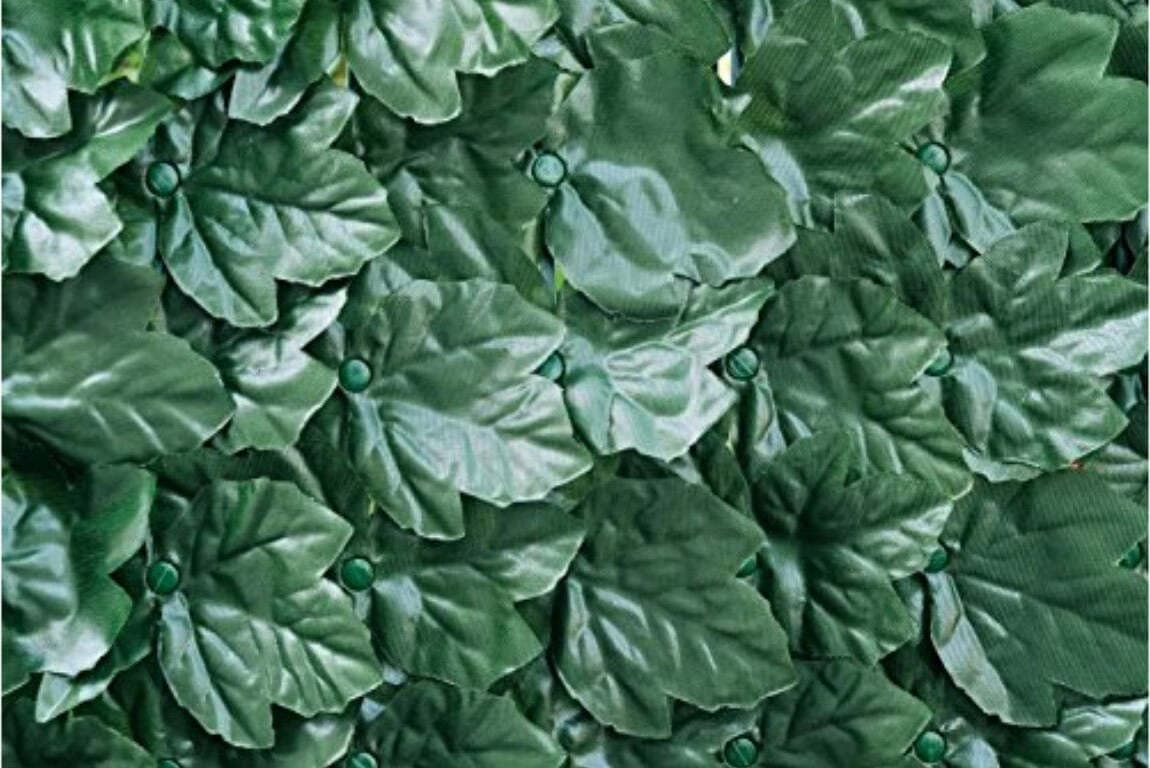 VERDEMAX---SIEPE-A-FOGLIE-EDERA-EXTRA-M-1X3
