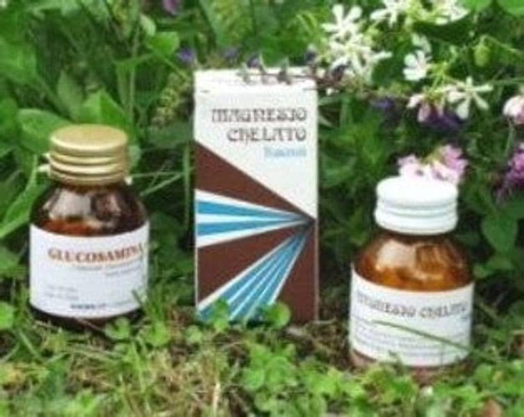 VIRIDIS GLUCOSAMINA COMPOSTO L 60OP
