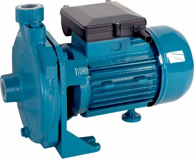 Elettropompa centrifuga monogirante 750W in Pompe sommerse GardenStore - Novellara, commercioVirtuoso.it