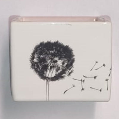 Dove acquistare Portasapone da bagno online?