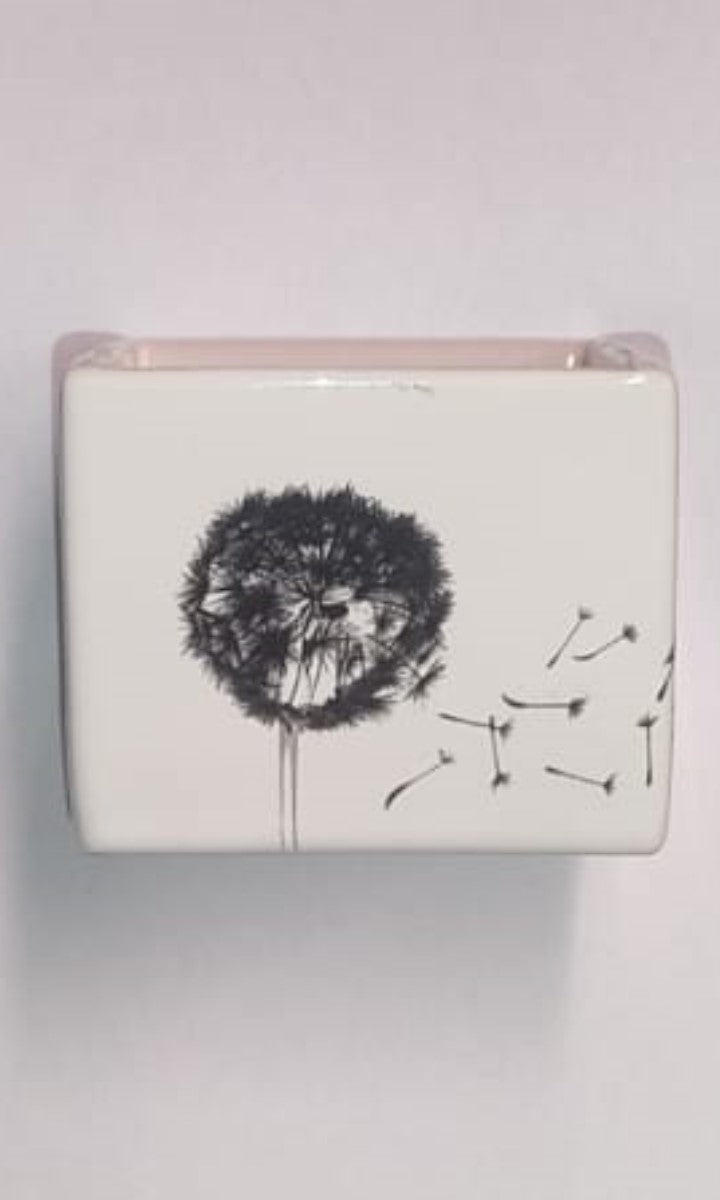 Dove acquistare Portasapone da bagno online?