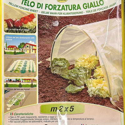 Dove acquistare Sistemi serra per germinazione online?