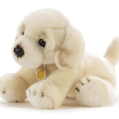 Dove acquistare Lettini per cani online?