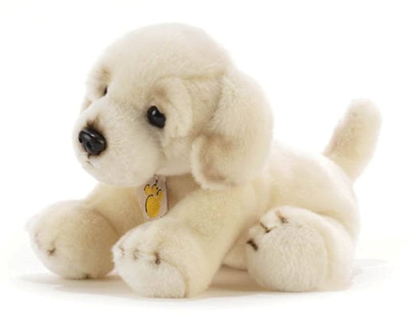 Dove acquistare Lettini per cani online?