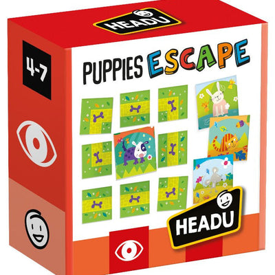 Dove acquistare Imbracature con pettorina per cani online?