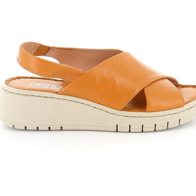 Dove acquistare i prodotti a marchio Grunland