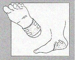 Dove acquistare i prodotti a marchio Bio-logica Srl