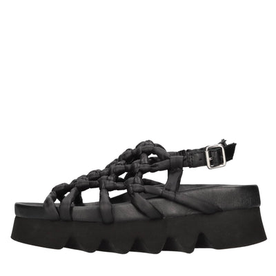 Dove acquistare i prodotti a marchio Patrizia Bonifanti