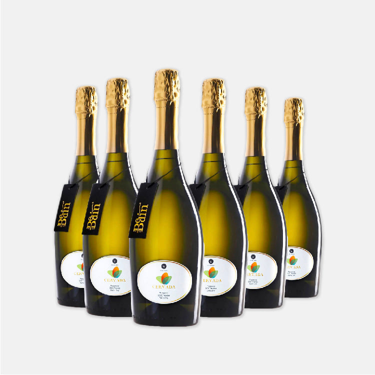 Come scegliere Birra vino e alcolici