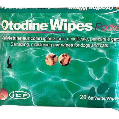 Come scegliere Salviettine per toelettatura cani