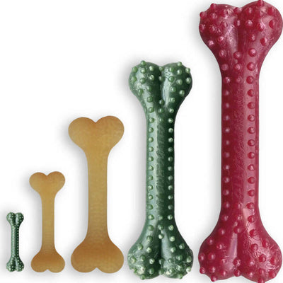 Come scegliere Prodotti per Igiene orale di cani