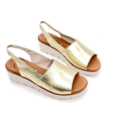 Dove acquistare i prodotti a marchio Luxdive