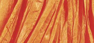 Dove acquistare Rafia per cesti online?