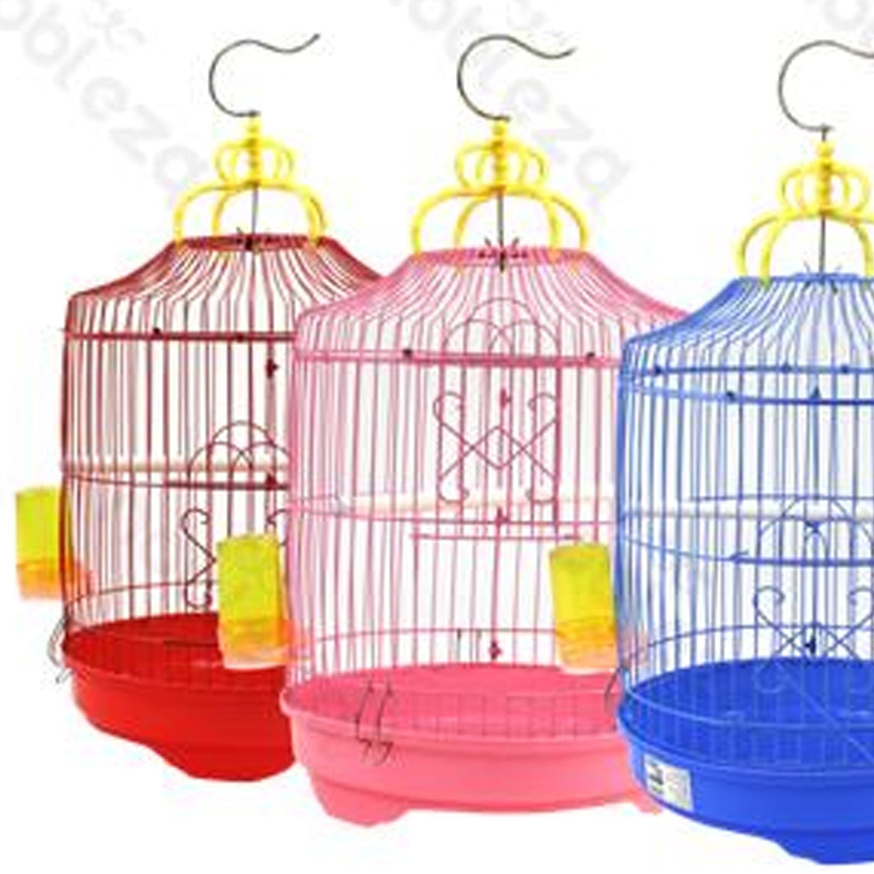 Dove acquistare Gabbie per Uccelli online?