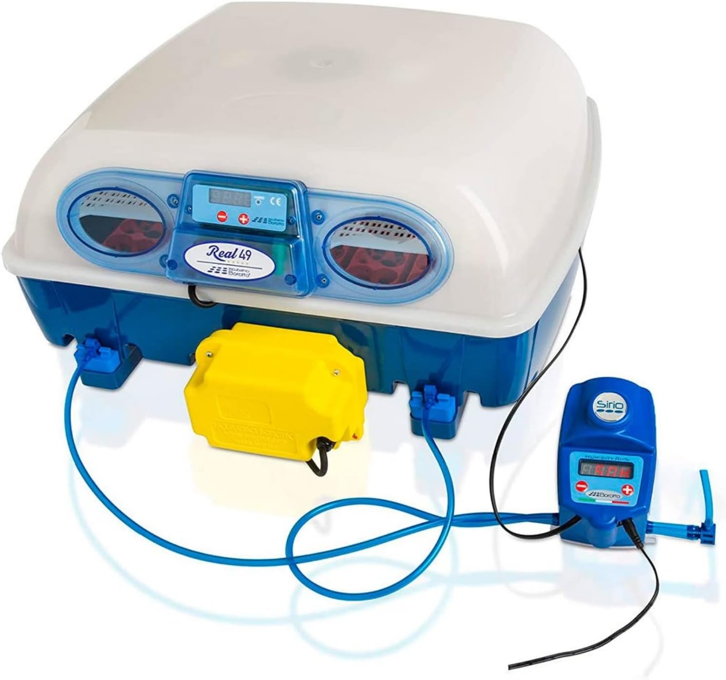 Dove acquistare i prodotti a marchio Borotto