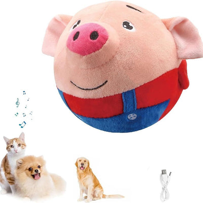 Dove acquistare Giochi da masticare per Cani online?