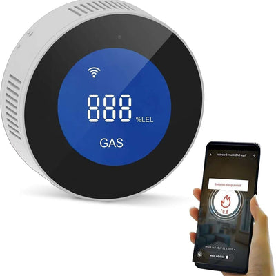 Come scegliere Rilevatori di gas per la sicurezza domestica