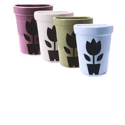 Dove acquistare Oli essenziali profumati per il corpo online?