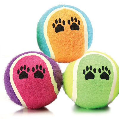 Dove acquistare Palle per Cani online?