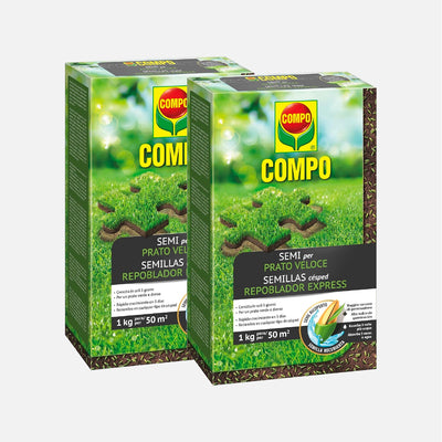 Come scegliere Piante semi e bulbi da giardinaggio